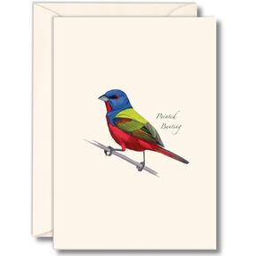 سماء الأرض + الماء - مجموعة Notecard Lainted - 8 بطاقات فارغة مع الأظرف