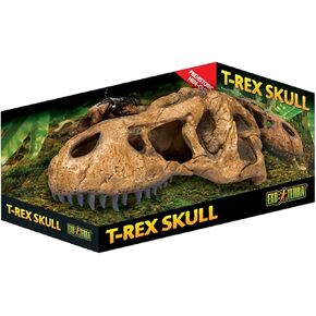 Exo Terra Terrarium Decor Croc Skull LQ، للزواحف والبرمائيات