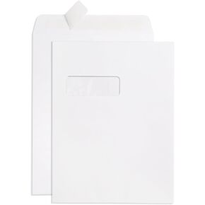 Blue Summit 100 9x12 Envelopes with Window 9 x 12 Large Window Envelopes- Security Tinted, Strong Self Seal, 100 Pack
