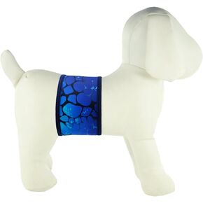 فرقة البطن الكلب الذكور ، Seamonster Blue ، xx-small