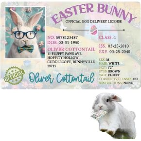 Easter Basket Stuffers,Easter Bunny Lost Driver's License,Easter Decorations,Easter Rabbit Card, Easter License Card for Kids, Bunny Driver's Id, Easter Rabbit License Easter Gift for Kids (1 Pcs) in Saudi Arabia