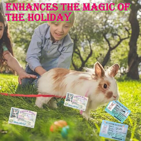 Easter Basket Stuffers,Easter Bunny Lost Driver's License,Easter Decorations,Easter Rabbit Card, Easter License Card for Kids, Bunny Driver's Id, Easter Rabbit License Easter Gift for Kids (1 Pcs) in Kuwait