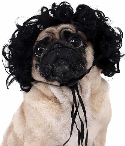 Pet Wig, Dog Wig, Funny Pet Costume for Small Medium Dogs, Cute Cosplay Headwear for Halloween, Christmas, Parties, Festivals (Black Curly) in Saudi Arabia