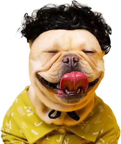 Pet Wig, Dog Wig, Funny Pet Costume for Small Medium Dogs, Cute Cosplay Headwear for Halloween, Christmas, Parties, Festivals (Black Curly) in Saudi Arabia