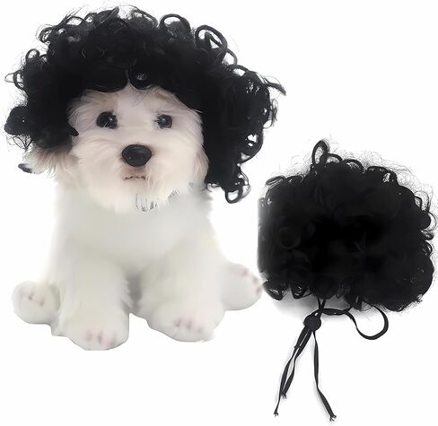 Pet Wig, Dog Wig, Funny Pet Costume for Small Medium Dogs, Cute Cosplay Headwear for Halloween, Christmas, Parties, Festivals (Black Curly) in Saudi Arabia