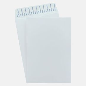150 Cashier Depot 6 "× 9" الكتالوج البريدي ، الطرف المفتوح ، Peel & Seal ، ثقيل 28 رطل. ورقة ، 150/صندوق (28 رطل. أبيض)