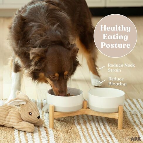 Ilyapa Ceramic Dog Bowls - Elevated Dog Bowl Stand for Medium Sized Pet with Raised Food and Water Set - Gray Double 6 inch, 28 Oz Bowls & 13x6.3x5.5 Wooden Stand in Kuwait