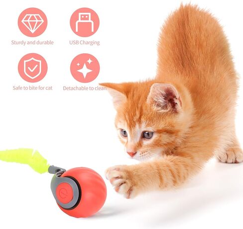 Speed Moving Tail 2.0 3.0 Interactive Cat Toy Ball for Bored Indoor Moving Cat Toy Smart Ball Rechargeable Automatic Mouse Chasing Toy Two Speed Adjustment (Orange) in Saudi Arabia