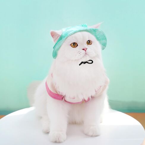 Dogs and Cats Sunshade Anti-Strangulation Hat Anti-Peeling Ears Adjustable Rope Buckle Bucket Hat Pet Supplies (Wathet Blue, Small) in Saudi Arabia