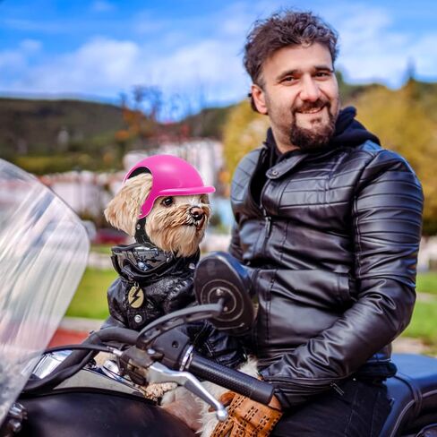 Goaste Dog Helmet for Small Dog, Pet Motorcycle Helmet with Ear Holes, Doggy Safety Hat with Adjustable Belt, Puppy Cat Hard Cap for Outdoor Walking, Biking, Riding, Driving (Small) in Saudi Arabia