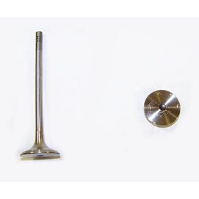 DNJ EV800 Exhaust Valve for 1997-2006 / Audi, Volkswagen / A4, A4 Quattro, A6, A6 Quattro, Allroad Quattro, Beetle, Golf, Jetta, Passat, S4, TT, TT Quattro / 1.8L, 2.7L, 2.8L, 3.0L / DOHC / V6 / 20V