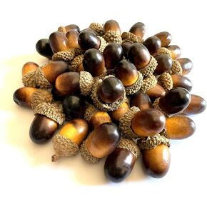 50 Pack Artificial Acorns Lifelike with Acorn Cap Simulation Small Acorn for DIY Crafting, Wedding, Home Kitchen Table Decor, Thanksgiving Halloween Christmas Festival Decorative Ornaments