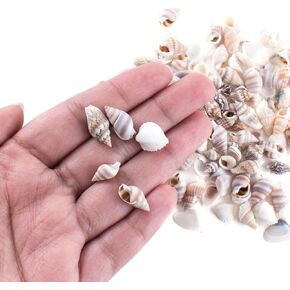 Tiny Miniature Fairy Garden Beach Critter Seashells Marine Life Collection for Arts & Crafts Projects, Decorations, Party Favors, Invitations (2 Tbsp Pack)