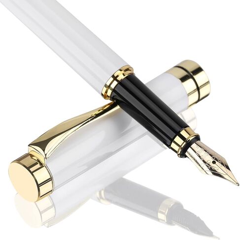 Luxury Fountain Pen,Fine Nib, Exquisite Pen Gift Set for Men&Women-Includes 10 Ink Cartridges&Ink Converter- Nice Pens - Blue in Saudi Arabia
