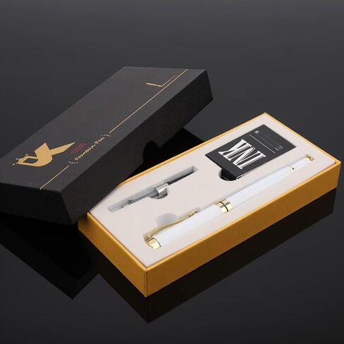 Luxury Fountain Pen,Fine Nib, Exquisite Pen Gift Set for Men&Women-Includes 10 Ink Cartridges&Ink Converter- Nice Pens - Blue in Saudi Arabia