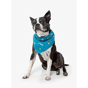 LP-1001-TEAL-OS: Ball & Squirrel Bandana, Teal, One Size