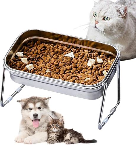 Elevated Cat Bowls,304 Stainless Steel Cat Bowls,15° Tilted Raised Cat Food Bowls,Stand Anti Vomiting Pet Bowls for Cats and Puppy (Single Bowl) in Kuwait