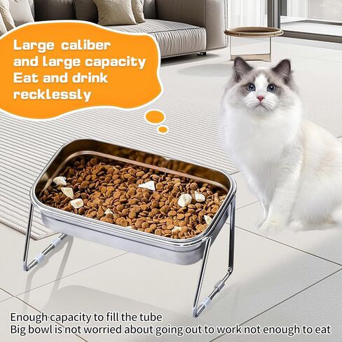 Elevated Cat Bowls,304 Stainless Steel Cat Bowls,15° Tilted Raised Cat Food Bowls,Stand Anti Vomiting Pet Bowls for Cats and Puppy (Single Bowl) in Kuwait