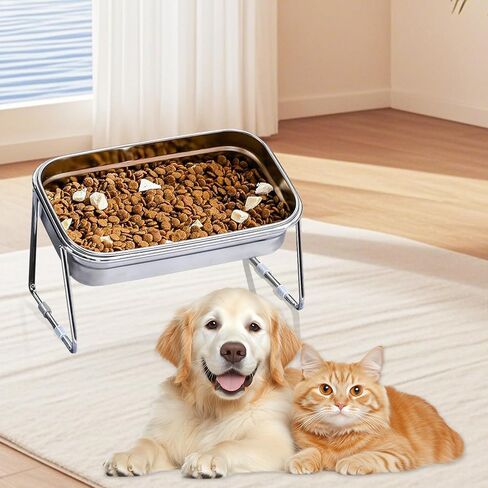 Elevated Cat Bowls,304 Stainless Steel Cat Bowls,15° Tilted Raised Cat Food Bowls,Stand Anti Vomiting Pet Bowls for Cats and Puppy (Single Bowl) in Kuwait