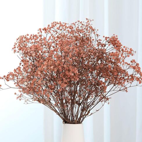 Dried Flowers Bouquet, Dry Flower Bundle, 20Pcs Natural Real Millet Flowers with Stems, Dried Floral Arrangements for Wedding Decor, Door Wreath, Home Party Vase Farmhouse Decoration (White, 17'') in Kuwait