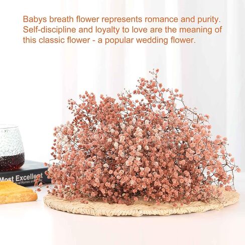 Dried Flowers Bouquet, Dry Flower Bundle, 20Pcs Natural Real Millet Flowers with Stems, Dried Floral Arrangements for Wedding Decor, Door Wreath, Home Party Vase Farmhouse Decoration (White, 17'') in Kuwait