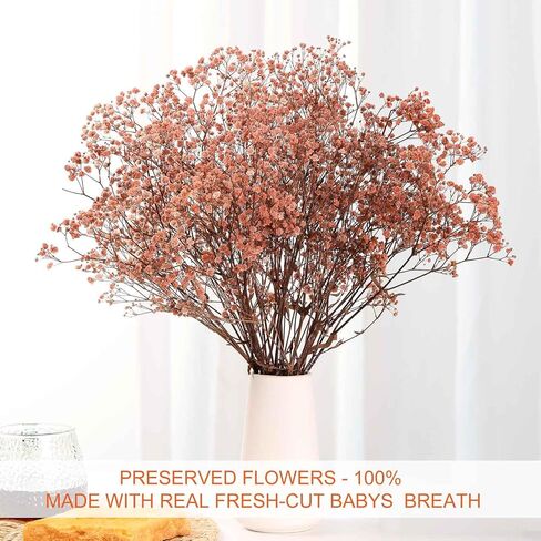 Dried Flowers Bouquet, Dry Flower Bundle, 20Pcs Natural Real Millet Flowers with Stems, Dried Floral Arrangements for Wedding Decor, Door Wreath, Home Party Vase Farmhouse Decoration (White, 17'') in Kuwait