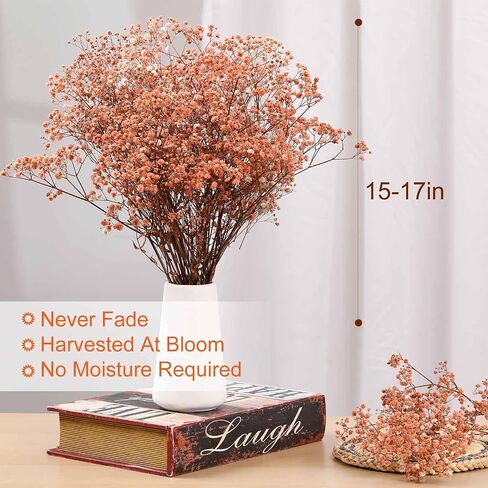 Dried Flowers Bouquet, Dry Flower Bundle, 20Pcs Natural Real Millet Flowers with Stems, Dried Floral Arrangements for Wedding Decor, Door Wreath, Home Party Vase Farmhouse Decoration (White, 17'') in Kuwait
