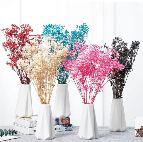 Dried Flowers Bouquet, Dry Flower Bundle, 20Pcs Natural Real Millet Flowers with Stems, Dried Floral Arrangements for Wedding Decor, Door Wreath, Home Party Vase Farmhouse Decoration (White, 17'') in Kuwait