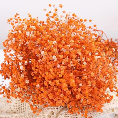 Dried Flowers Bouquet, Dry Flower Bundle, 20Pcs Natural Real Millet Flowers with Stems, Dried Floral Arrangements for Wedding Decor, Door Wreath, Home Party Vase Farmhouse Decoration (White, 17'') in Kuwait