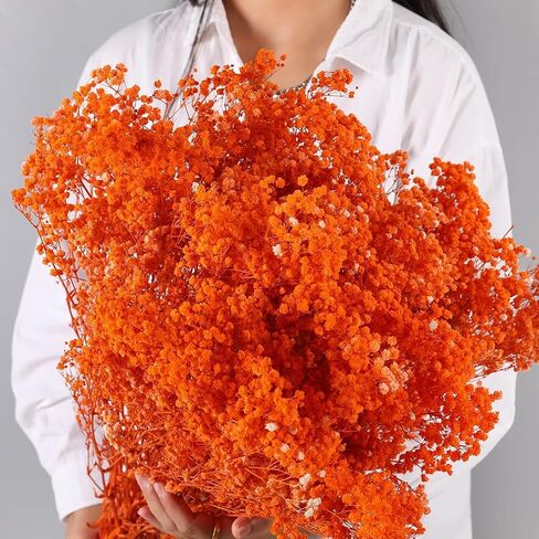 Dried Flowers Bouquet, Dry Flower Bundle, 20Pcs Natural Real Millet Flowers with Stems, Dried Floral Arrangements for Wedding Decor, Door Wreath, Home Party Vase Farmhouse Decoration (White, 17'') in Kuwait