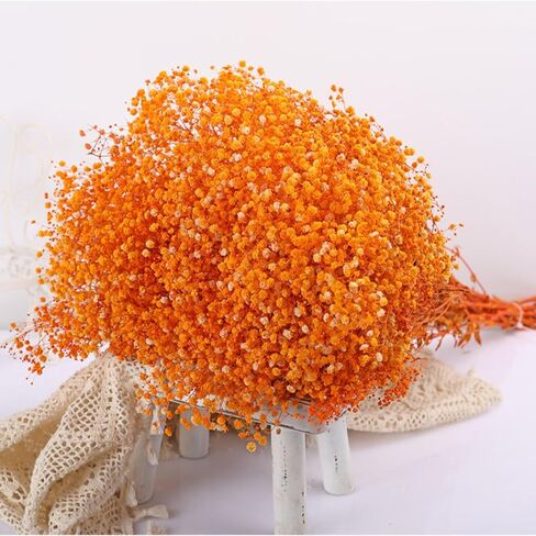 Dried Flowers Bouquet, Dry Flower Bundle, 20Pcs Natural Real Millet Flowers with Stems, Dried Floral Arrangements for Wedding Decor, Door Wreath, Home Party Vase Farmhouse Decoration (White, 17'') in Kuwait