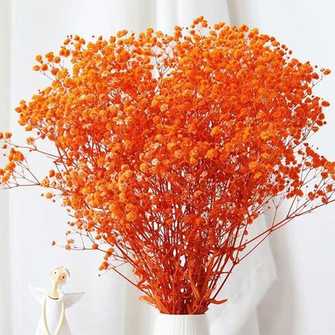 Dried Flowers Bouquet, Dry Flower Bundle, 20Pcs Natural Real Millet Flowers with Stems, Dried Floral Arrangements for Wedding Decor, Door Wreath, Home Party Vase Farmhouse Decoration (White, 17'') in Kuwait