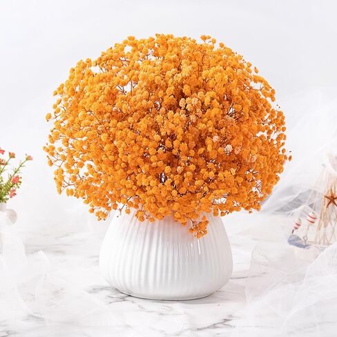 Dried Flowers Bouquet, Dry Flower Bundle, 20Pcs Natural Real Millet Flowers with Stems, Dried Floral Arrangements for Wedding Decor, Door Wreath, Home Party Vase Farmhouse Decoration (White, 17'') in Kuwait