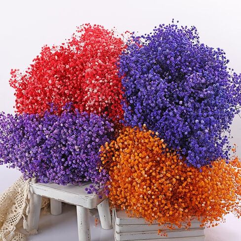 Dried Flowers Bouquet, Dry Flower Bundle, 20Pcs Natural Real Millet Flowers with Stems, Dried Floral Arrangements for Wedding Decor, Door Wreath, Home Party Vase Farmhouse Decoration (White, 17'') in Kuwait