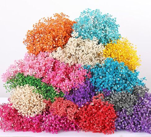 Dried Flowers Bouquet, Dry Flower Bundle, 20Pcs Natural Real Millet Flowers with Stems, Dried Floral Arrangements for Wedding Decor, Door Wreath, Home Party Vase Farmhouse Decoration (White, 17'') in Kuwait