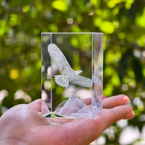 3D Dolphin Heart Crystal Ball Night Lights & Figurines - Snow Globe Sphere Paperweight with LED Base, Home Office Decor Gifts for Women, Girls, Couples on Birthday, Mothers Day, Wedding - 3.15"/8CM in Kuwait