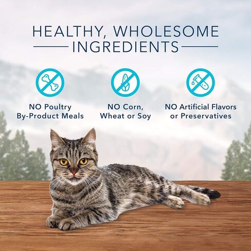 Blue Buffalo Wilderness Grain Free Soft-Moist Cat Treats, Chicken & Trout 2-oz Bag (Pack of 2) in Saudi Arabia