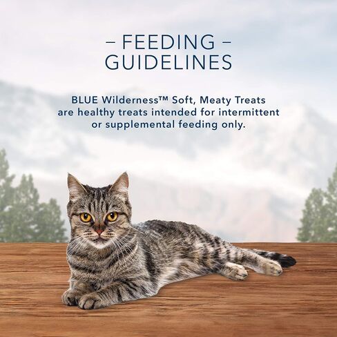 Blue Buffalo Wilderness Grain Free Soft-Moist Cat Treats, Chicken & Trout 2-oz Bag (Pack of 2) in Saudi Arabia