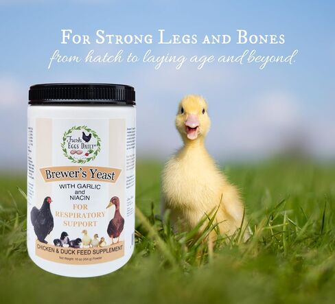 Fresh Eggs Daily Brewer's Yeast with Garlic Powder and Niacin for Ducks Feed Supplement Vitamins for Backyard Chickens 5LB in Kuwait
