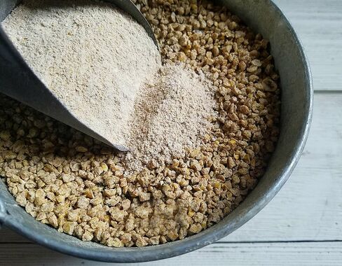 Fresh Eggs Daily Brewer's Yeast with Garlic Powder and Niacin for Ducks Feed Supplement Vitamins for Backyard Chickens 5LB in Kuwait