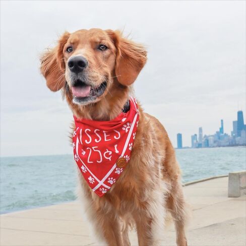 CROWNED BEAUTY عيد الحب الكلب عصابات عكسها صغيرة 2 حزمة، مجموعة القبلات، الأحمر منقوشة قابل للتعديل الأوشحة المثلث للكلاب فتاة الصبي الحيوانات الأليفة DB15-S in Kuwait
