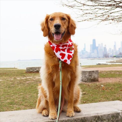 CROWNED BEAUTY عيد الحب الكلب عصابات عكسها صغيرة 2 حزمة، مجموعة القبلات، الأحمر منقوشة قابل للتعديل الأوشحة المثلث للكلاب فتاة الصبي الحيوانات الأليفة DB15-S in Kuwait