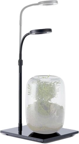 LED Aquarium Light مع قاعدة ، مصباح نمو نباتات USB قابلة للضايق لخزان أسماك Betta ، النباتات المحفوظة بوعاء ، العصارة ، المناظر الطبيعية المصغرة (قاعدة أكريليك أسود 10W ، صغيرة) in Kuwait