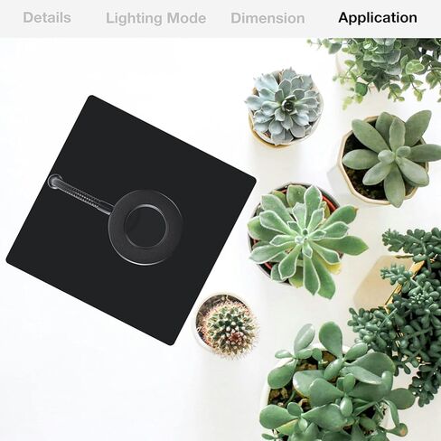 LED Aquarium Light مع قاعدة ، مصباح نمو نباتات USB قابلة للضايق لخزان أسماك Betta ، النباتات المحفوظة بوعاء ، العصارة ، المناظر الطبيعية المصغرة (قاعدة أكريليك أسود 10W ، صغيرة) in Kuwait