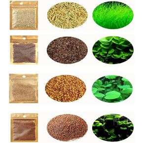 MysteryHigh 4 Pack Aquarium Plant S.E.E.D Set ، Aquarium Carpet ، وليس نبات البلاستيك الاصطناعي. لخزانة أسماك المياه العذبة