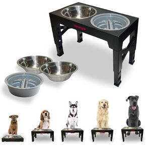 5 Heights Elevated Dog Bowls, Feeding Station Holder with 2 Stainless Steel + 1 Slow Feeder Bowls Elevated, Lifted Water & Food Bowl Stand, Raised Dog Bowl Stand for Medium Size, Small & Large Breed