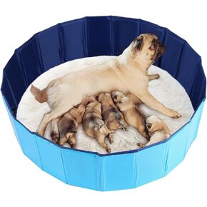 قلم whelping للكلاب ، بركة الولادة القابلة للطي للكلاب ، صندوق whelping للكلاب والجزر ، حمام سباحة بلاستيكي poartable وحوض حمام للكلاب (39.4 "ديا. × 11.8" ساعة (100 سم × 30 سم))