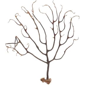 iplusmile Natural Sea Fan Coral Decorations, Coral Ornament, Aquarium Tank Decoration for Fish Tanks Landscape Terrariums Art Projects Wall Decor 7.9 × 5.9 inch(L * W)