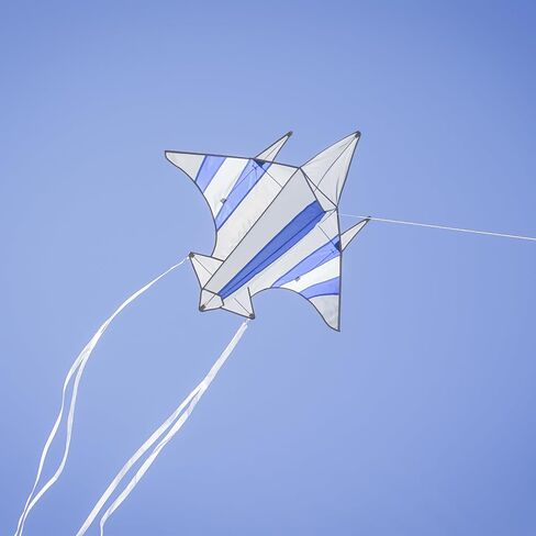 In the Breeze Jet Kite, Easy-Flying Plane Kite with Color-Coordinated Streamer Tails in Saudi Arabia