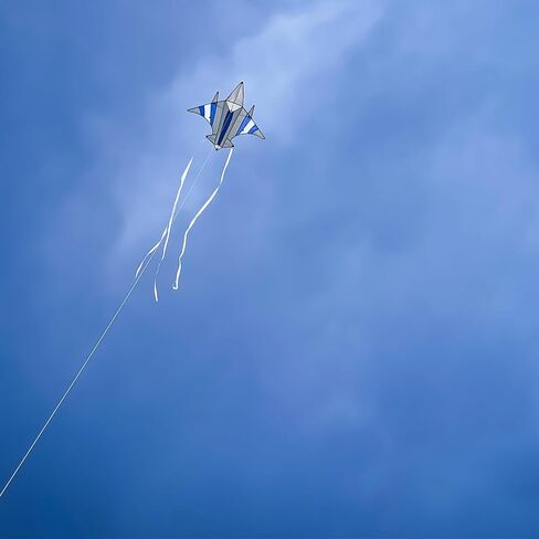 In the Breeze Jet Kite, Easy-Flying Plane Kite with Color-Coordinated Streamer Tails in Saudi Arabia